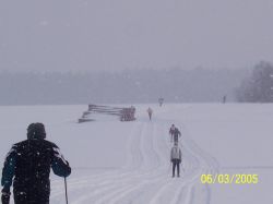 2005 - Diözesanmeisterschaft im Skilanglauf in Österberg (3)